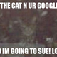 Image for article titled Google Street View Invades Cat's Privacy